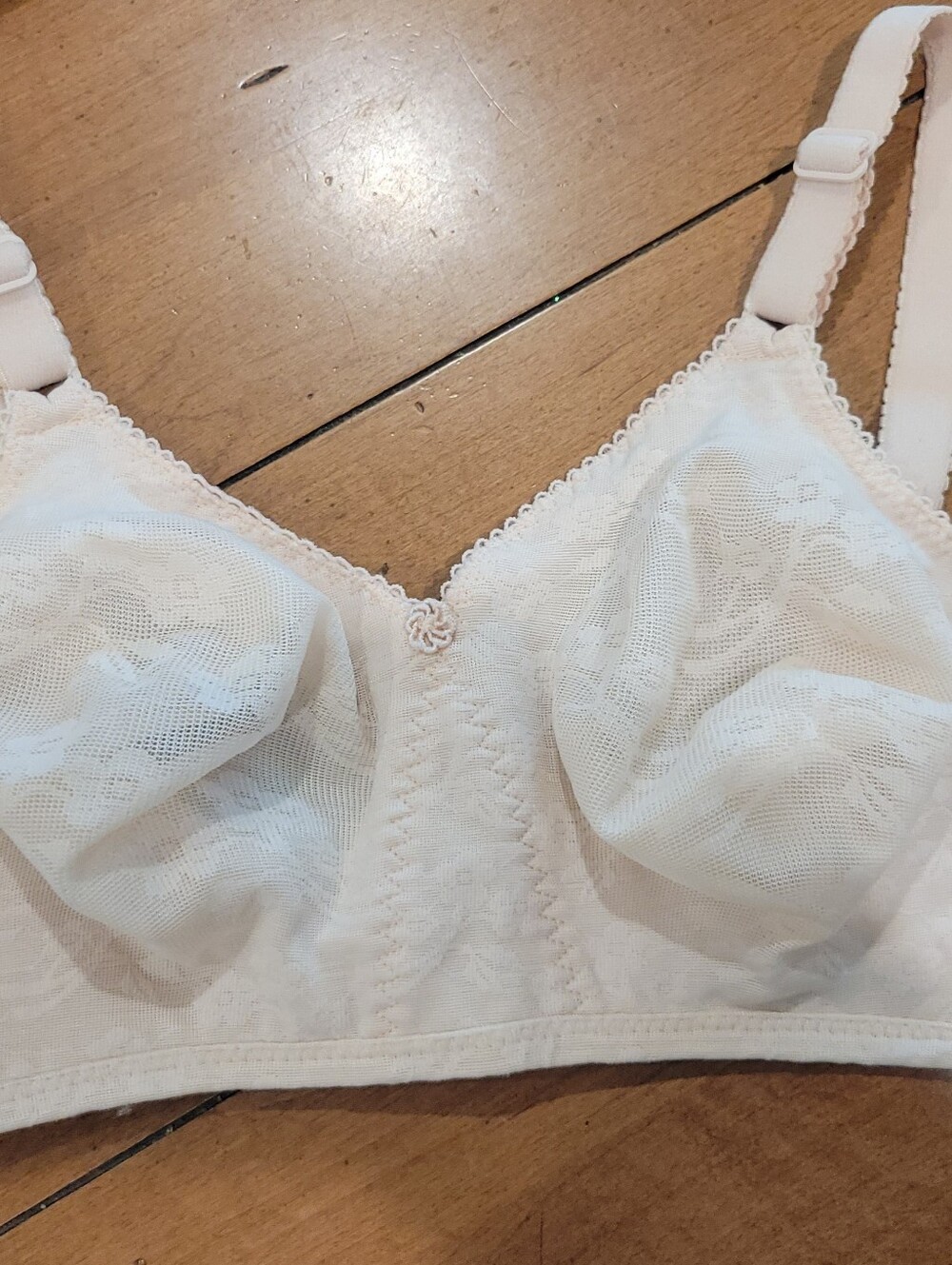 Warner Hidden Powers 38D Bra